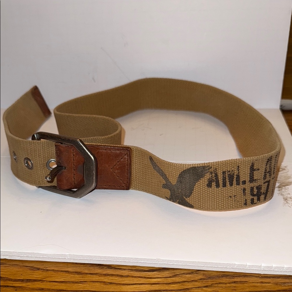 American Eagle Outfitters Tan and Brown Belt Bag 43” End to End